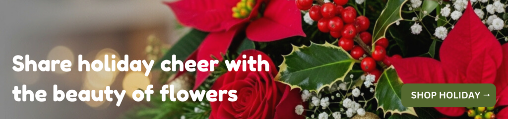 Holiday_1920x450__2025